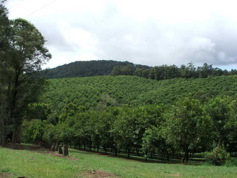 Maw St, Nambucca Heads NSW 2448