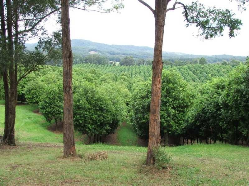 Maw St, Nambucca Heads NSW 2448