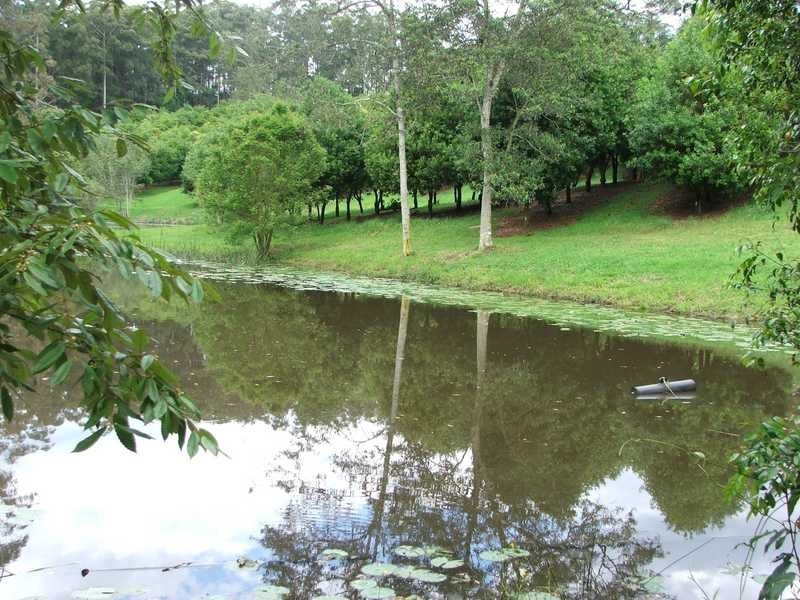 Maw St, Nambucca Heads NSW 2448