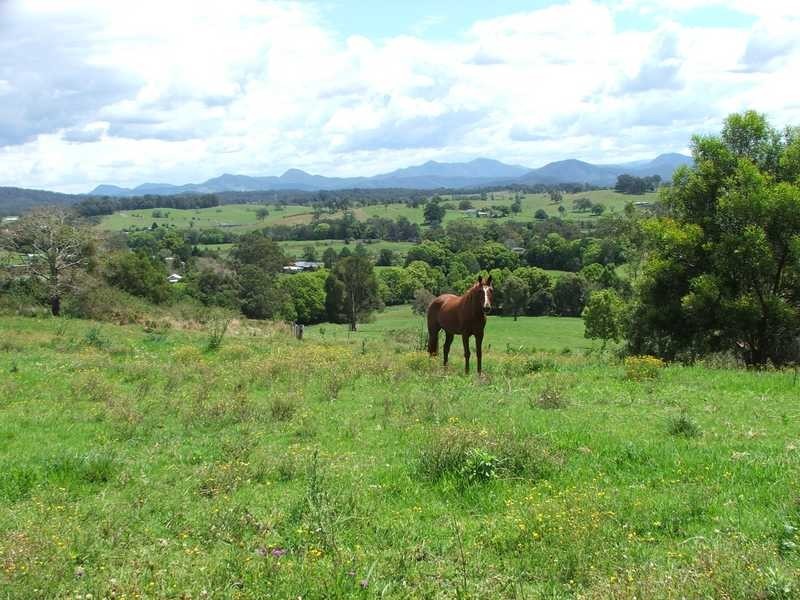 Maw St, Nambucca Heads NSW 2448