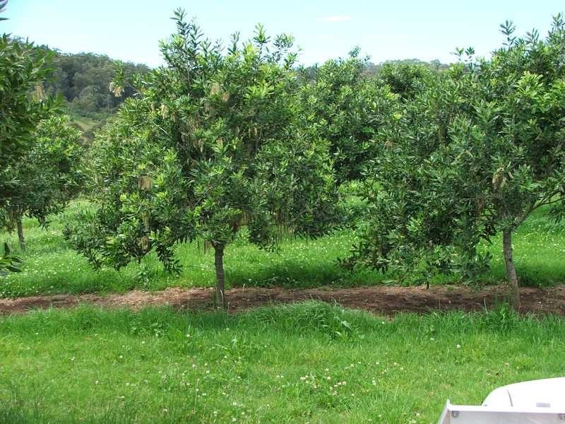 Maw St, Nambucca Heads NSW 2448