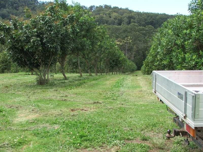 Maw St, Nambucca Heads NSW 2448