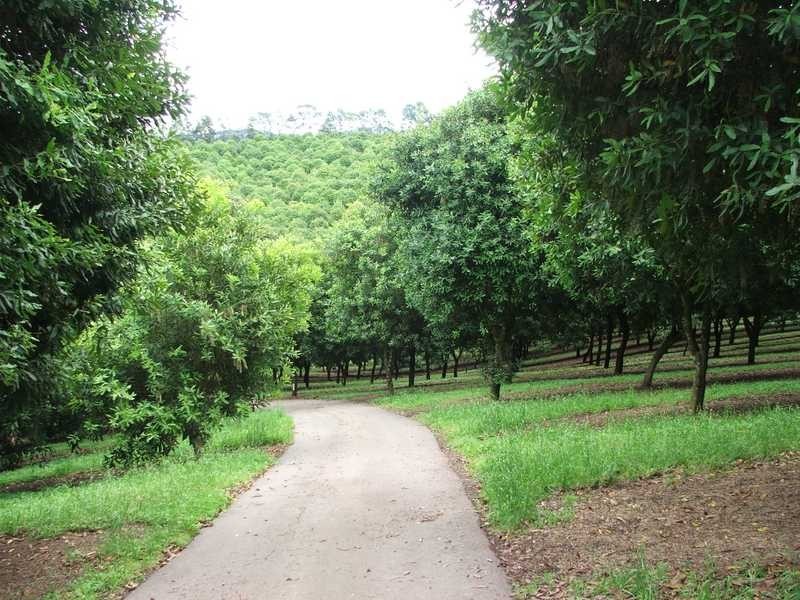 Maw St, Nambucca Heads NSW 2448