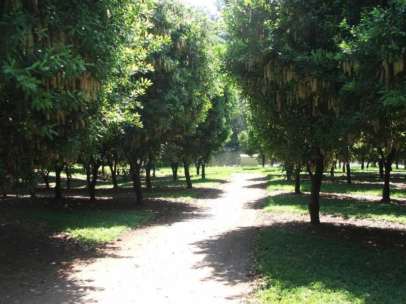 Maw St, Nambucca Heads NSW 2448