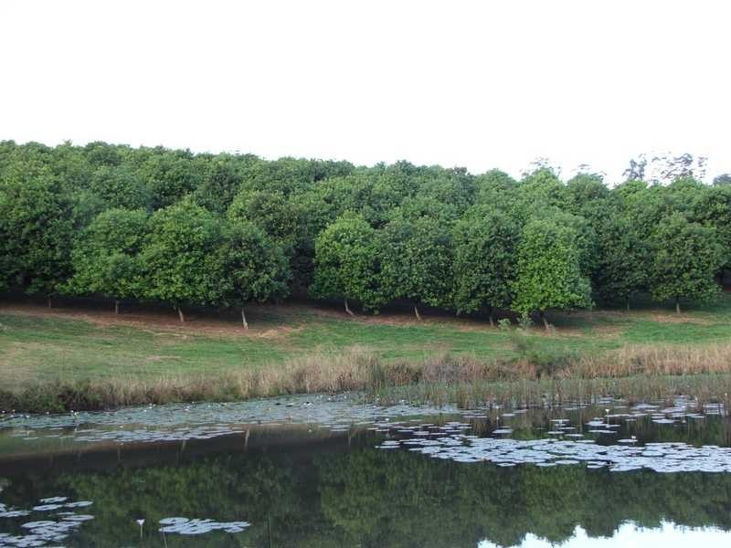 Maw St, Nambucca Heads NSW 2448