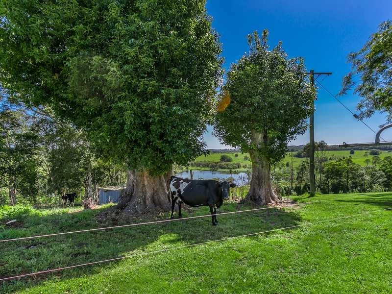 766 Eltham Road, Eltham NSW 2480