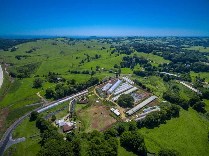 Tinderbox Road, Talofa NSW 2481