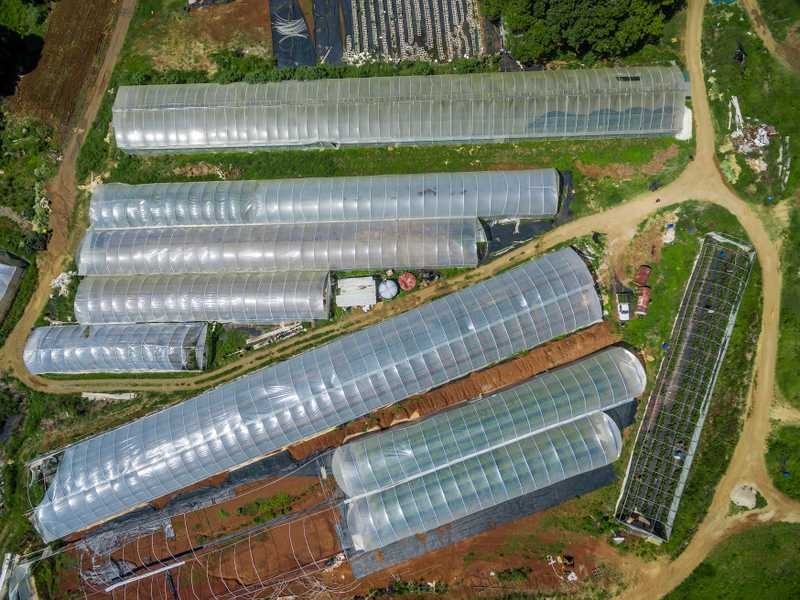 Tinderbox Road, Talofa NSW 2481