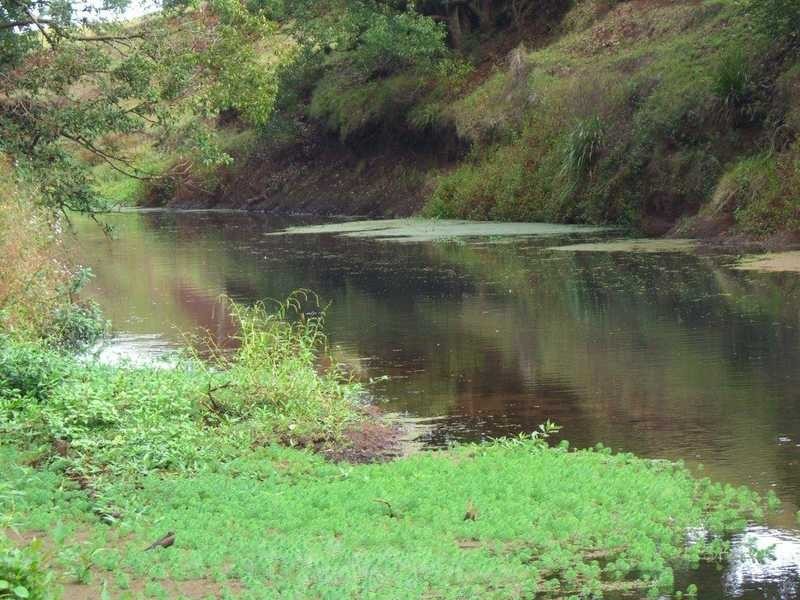 Lot 22 Booyong Road, Clunes NSW 2480