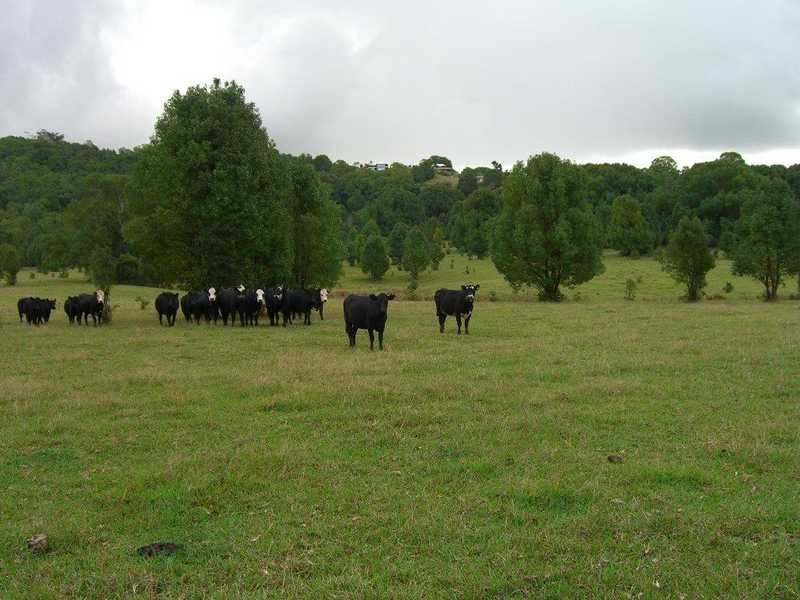 Lot 22 Booyong Road, Clunes NSW 2480