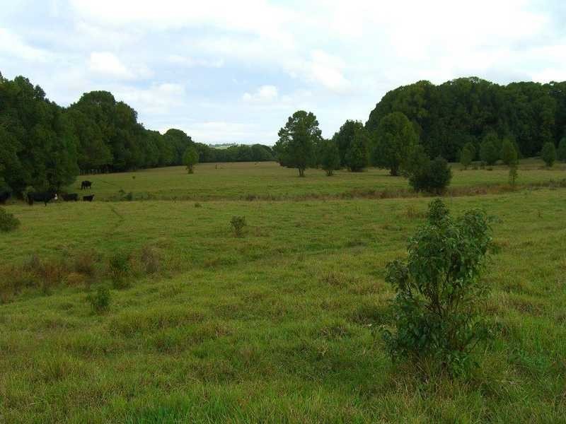 Lot 22 Booyong Road, Clunes NSW 2480