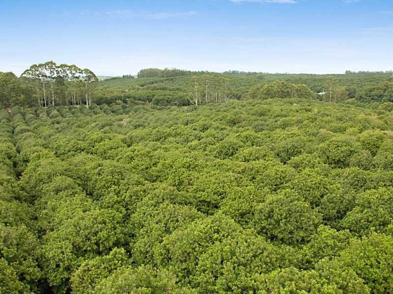 688 Duncan Road, Dunoon NSW 2480