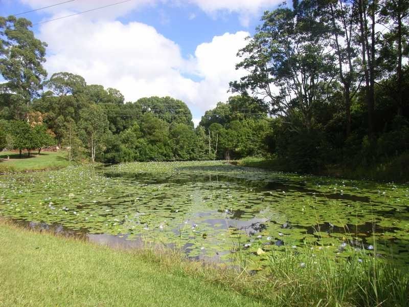 688 Duncan Road, Dunoon NSW 2480