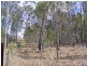 Tatham-Myrtle Creek Road, Ellangowan NSW 2470