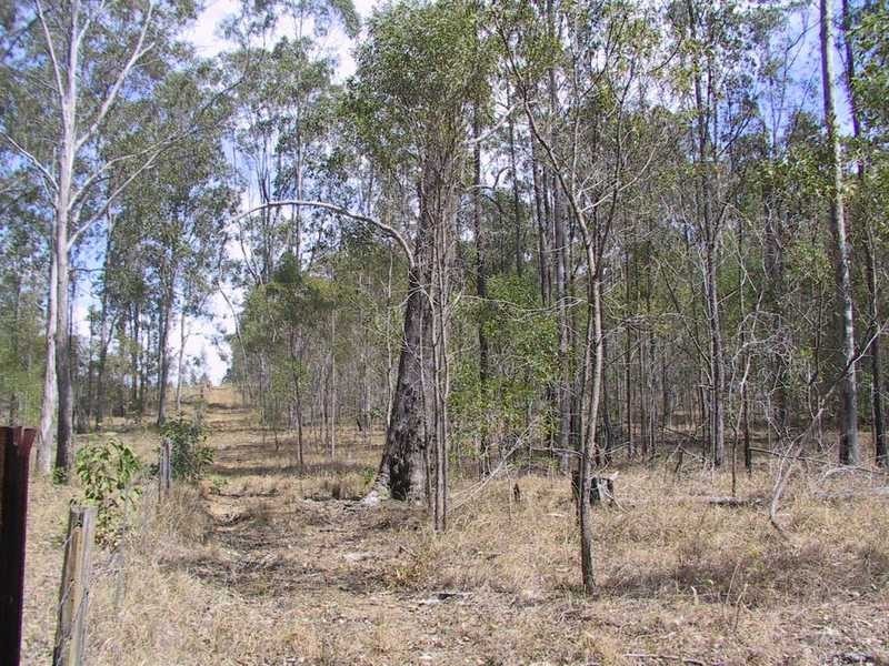 Tatham-Myrtle Creek Road, Ellangowan NSW 2470
