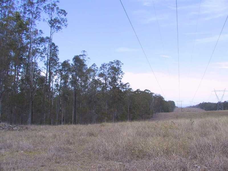 Tatham-Myrtle Creek Road, Ellangowan NSW 2470