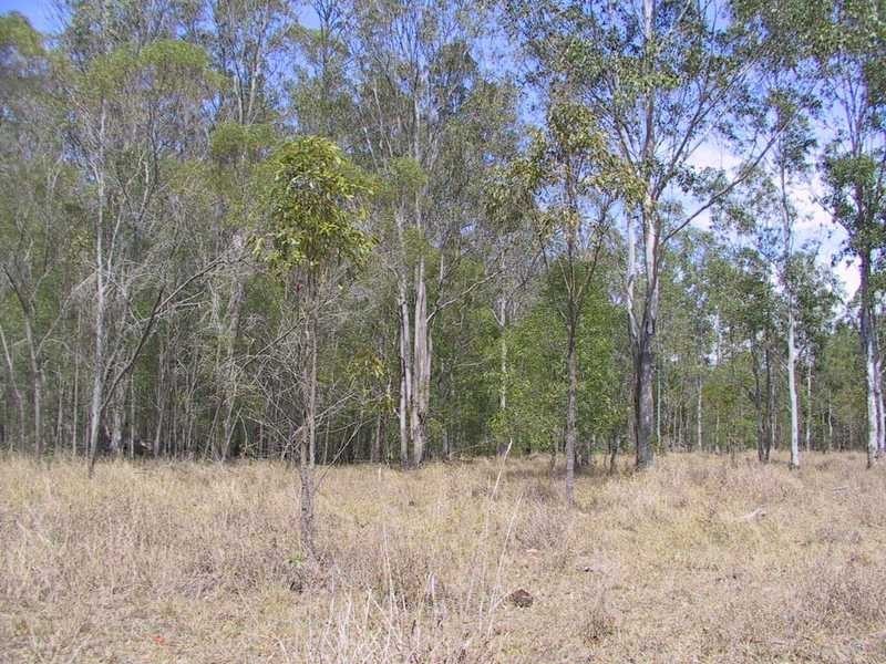 Tatham-Myrtle Creek Road, Ellangowan NSW 2470