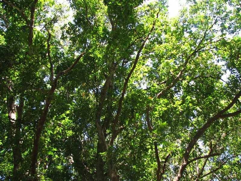 Marom Creek Road, Meerschaum Vale NSW 2477