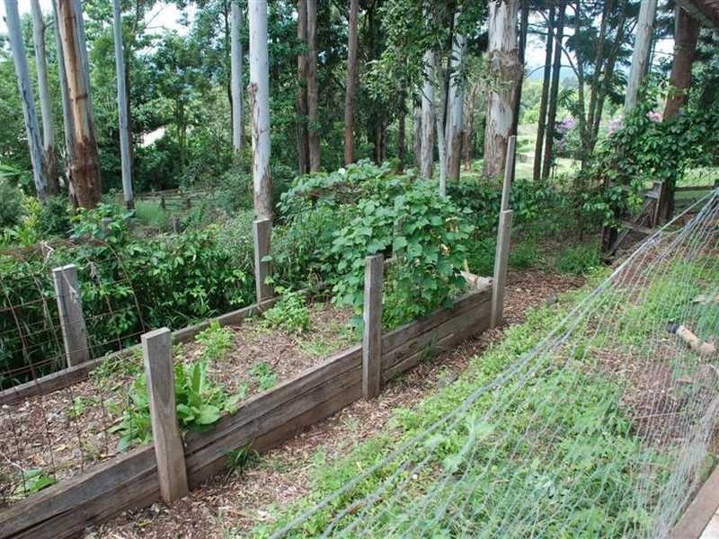 16 Mill Road, Goonengerry NSW 2482