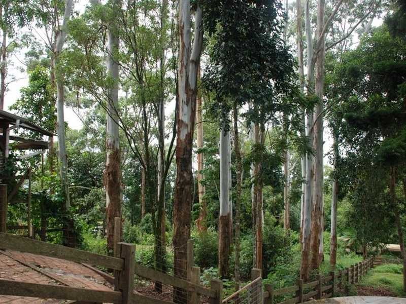 16 Mill Road, Goonengerry NSW 2482