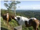 16 Mill Road, Goonengerry NSW 2482