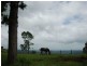 16 Mill Road, Goonengerry NSW 2482