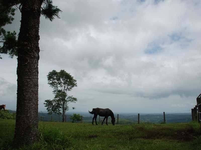 16 Mill Road, Goonengerry NSW 2482