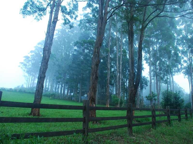 16 Mill Road, Goonengerry NSW 2482