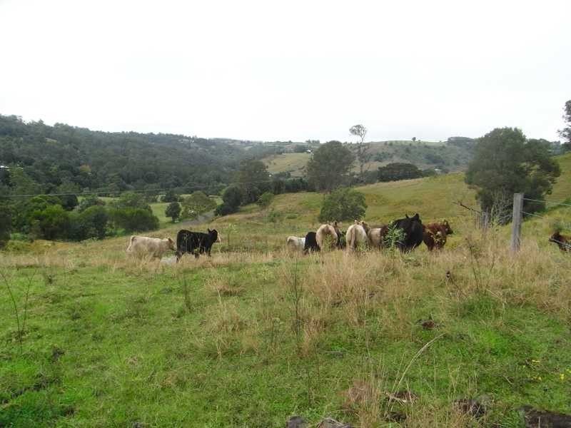 872 Koonorigan Road, The Channon NSW 2480