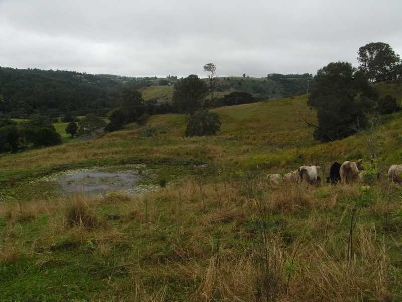 872 Koonorigan Road, The Channon NSW 2480