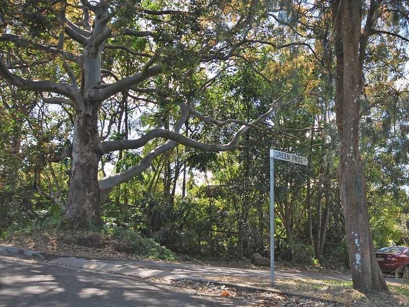 Lot 6 Green Frog Lane, Bangalow NSW 2479