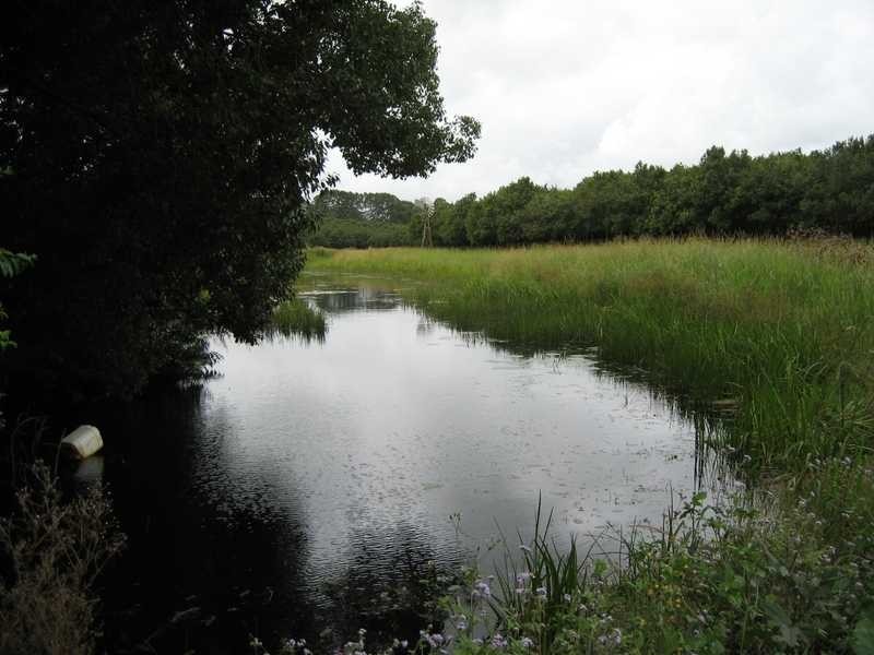 50 Weis Lane, Alstonville NSW 2477