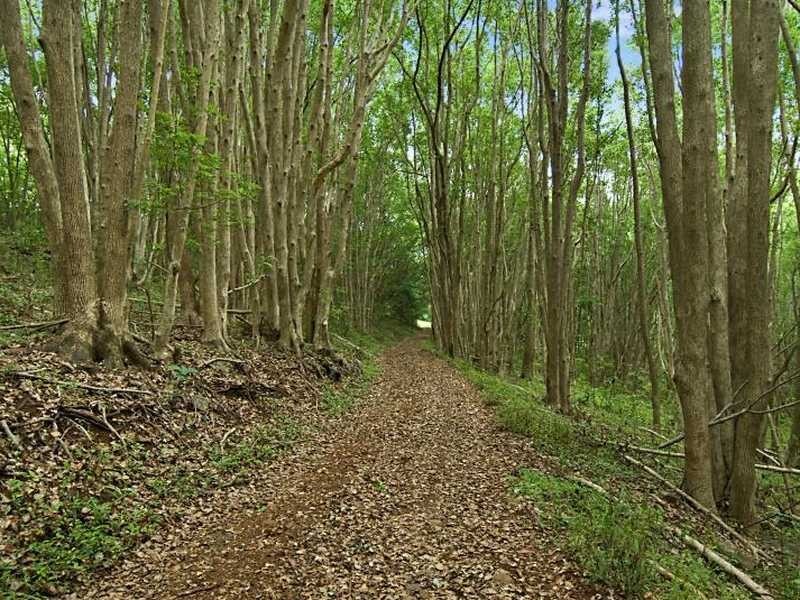 Lot 1 Taylors Road, Eureka NSW 2480