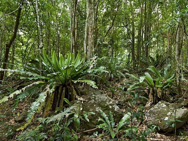 Lot 1 Taylors Road, Eureka NSW 2480