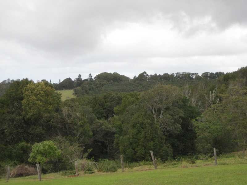 121 North Teven Road, Teven NSW 2478