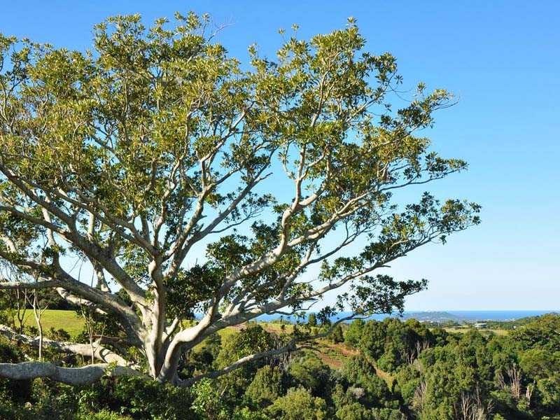 4 Browns Crescent, Byron Bay NSW 2481