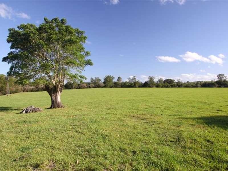 312 Riverbank Road, Monaltrie NSW 2480