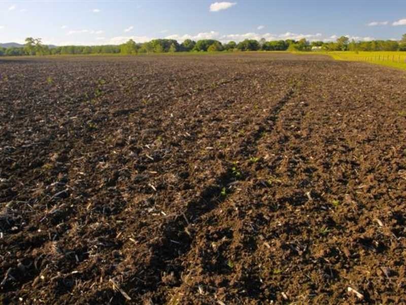 312 Riverbank Road, Monaltrie NSW 2480