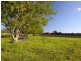 312 Riverbank Road, Monaltrie NSW 2480