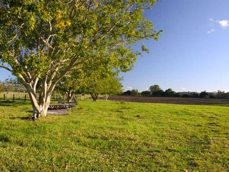 312 Riverbank Road, Monaltrie NSW 2480