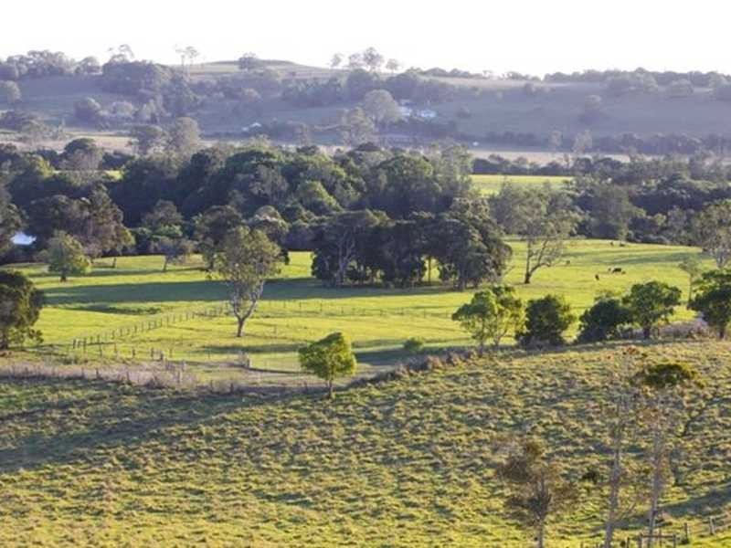 312 Riverbank Road, Monaltrie NSW 2480