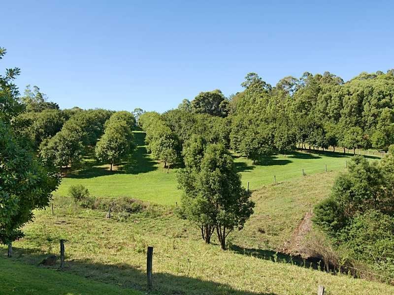 206 Repentance Creek Road, Rosebank NSW 2480