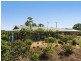 206 Repentance Creek Road, Rosebank NSW 2480