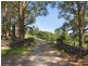 206 Repentance Creek Road, Rosebank NSW 2480