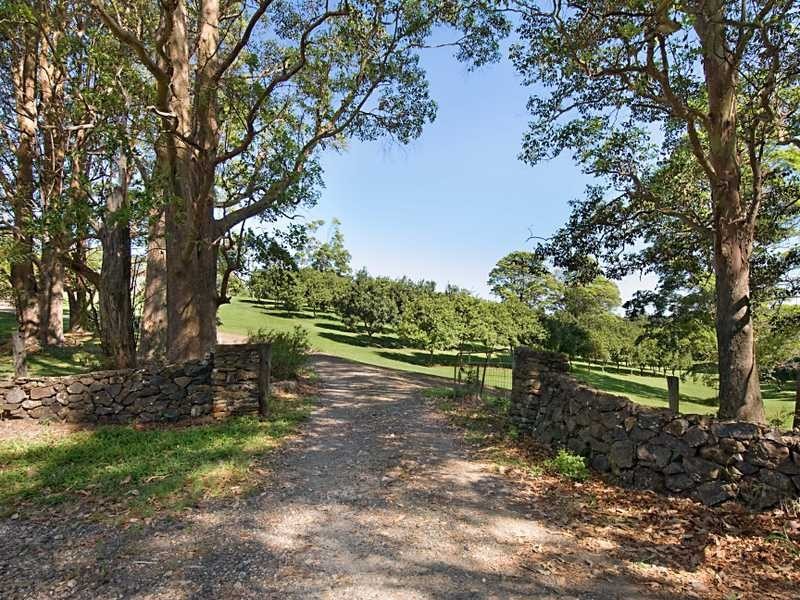 206 Repentance Creek Road, Rosebank NSW 2480