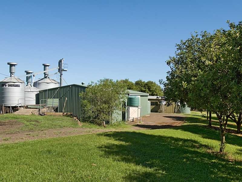 206 Repentance Creek Road, Rosebank NSW 2480