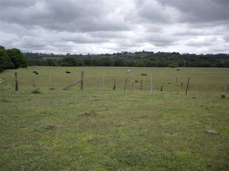 162 Bangalow Road, Howards Grass NSW 2480