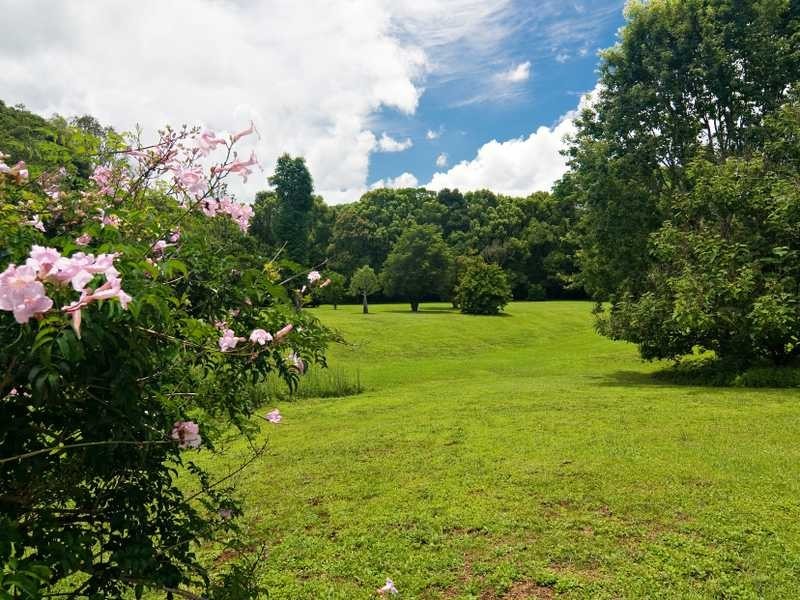 165 Mackie Road, Clunes NSW 2480