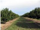 Lot 2 Booyan Road, Moore Park QLD 4670