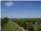 Lot 2 Booyan Road, Moore Park QLD 4670